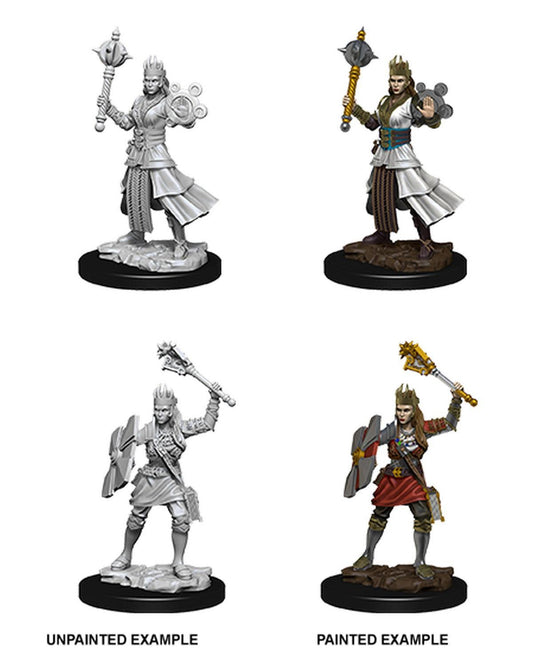 Dungeons And Dragons: Nolzur's Marvelous Miniatures - Human Cleric - Amuzzi