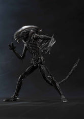 action figure alien s.h. monsterarts big chap alien