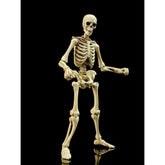 Epic  H.A.C.K.S. Action Figure 1/12 Skeleton Blank Classic Bone 0814800025831