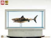 Jaws Maquette 1/18 Jaws Bronze 60 cm 19485845
