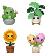 Flora POP! Vinyl Figures Flora Black Friday 4PK 9 cm 0889698956444