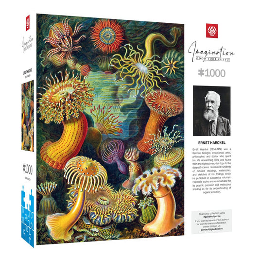 Ernst Haeckel Imagination Puzzle Sea Anemones/Stworzenia morskie (1000 pieces) 5908305244943