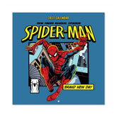 Spider-Man Wall Calendar 2027 30 x 30 cm 8435747832676