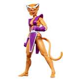 X-Force Marvel Legends Action Figure Feral 15 cm 5010996322470