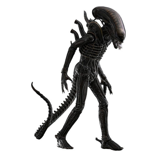 Alien Movie Masterpiece Action Figure 1/6 Big Chap 36 cm 4895228622556