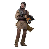 Star Wars Episode VI Movie Masterpiece Action Figure 1/6 Leia Organa (Boushh Disguise) 27 cm 4895228623966