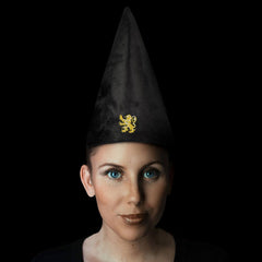 Harry Potter Student Hat Gryffindor 32 cm 4895205601611