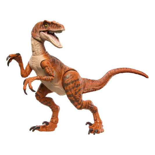 Jurassic World Hammond Collection Action Figure Velociraptor 0194735284993