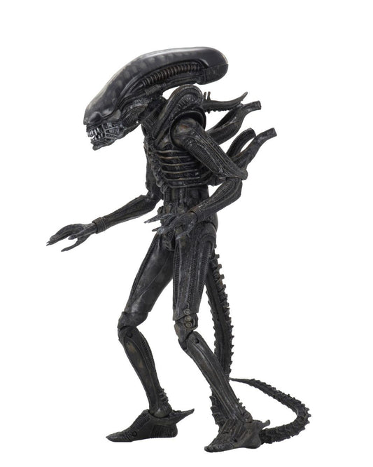 Alien 1979 Action Figure Ultimate 40th Anniversary Big Chap 23 cm 0634482516461