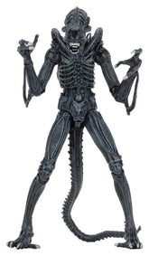 Aliens Ultimate Actionfigur Warrior (1986) Blue 23 cmAliens Ultimate Action Figure Warrior (1986) Blue 23 cmAliens Ultimate figurine Warrior (1986) Blue 23 cmAliens Ultimate Figura Warrior (1986) Blue 23 cm 0634482516478
