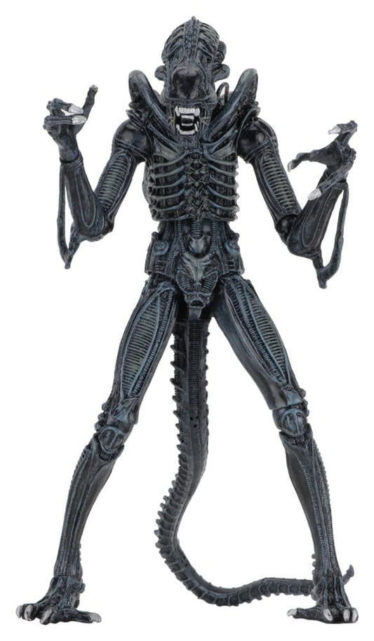 Aliens Ultimate Actionfigur Warrior (1986) Blue 23 cmAliens Ultimate Action Figure Warrior (1986) Blue 23 cmAliens Ultimate figurine Warrior (1986) Blue 23 cmAliens Ultimate Figura Warrior (1986) Blue 23 cm 0634482516478