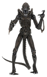 Aliens Ultimate Actionfigur Warrior (1986) Brown 23 cmAliens Ultimate Action Figure Warrior (1986) Brown 23 cmAliens Ultimate figurine Warrior (1986) Brown 23 cmAliens Ultimate Figura Warrior (1986) Brown 23 cm 0634482516836
