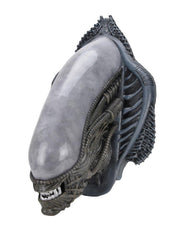 Alien Trophy Plaque Xenomorph (Foam Rubber/Latex) 78 cm 0634482516911