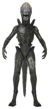 Alien: Earth Ultimate Action Figure Wendy's Xenomorph 18 cm 0634482517666