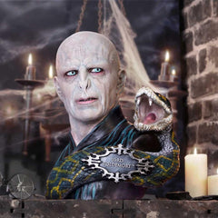 Harry Potter Bust Lord Voldemort 31 cm 0801269145194