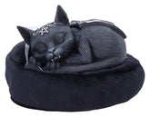Cult Cuties Figur Malpuss Dreams 9 cmCult Cuties Figure Malpuss Dreams 9 cmCult Cuties figurine Malpuss Dreams 9 cmCult Cuties Figura Malpuss Dreams 9 cm 0801269162061