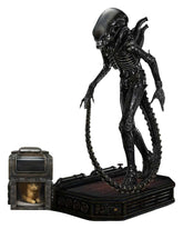Alien (Film) Museum Masterline XL Statue 1/3 Big Chap Xenomorph Close Up Shot Ver. DX Bonus Version 100 cm 4582647123985
