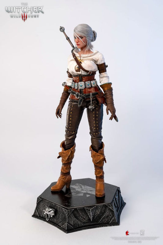 The Witcher 3: Wild Hunt Action Figure 1/6 Ciri of Cintra 30 cm 0713929404964