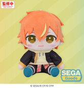 Hatsune Miku: Colorful Stage! Mysekai Plush Figure Akito Shinonome (S) 13 cm 4582733469102