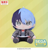Hatsune Miku: Colorful Stage! Mysekai Plush Figure Toya Aoyagi (S) 13 cm 4582733469119