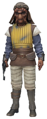 Star Wars Action Figure 1/6 Vizam 32 cm 0747720276406