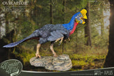 Wonders of the Wild Statue Oviraptor 32 cm 4897057885393
