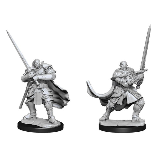 D&D Nolzur's Marvelous Miniatures Unpainted Miniatures Half-Orc Paladin Male Case (2) 0634482903070