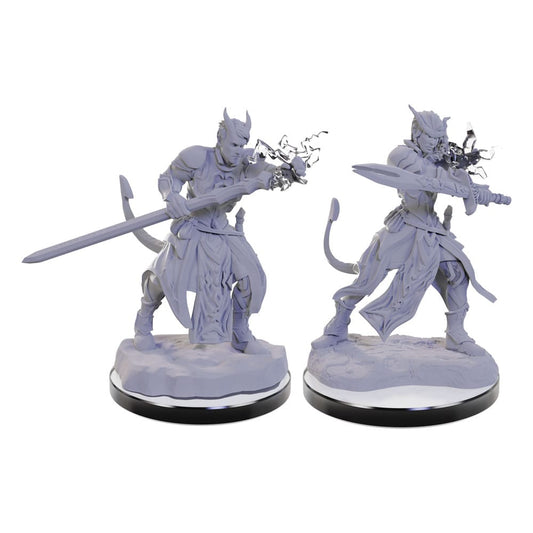 D&D Nolzur's Marvelous Miniatures miniature Unpainted Tiefling Warlocks 0634482906705