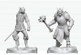 Dungeons & Dragons Nolzur's Marvelous Miniatures Unpainted Miniature Dragonborn Paladin & Dragonborn Squire 14 cm 0634482909089