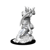 Dungeons and Dragons: Nolzur's Marvelous Miniatures - Efreeti 0634482901632