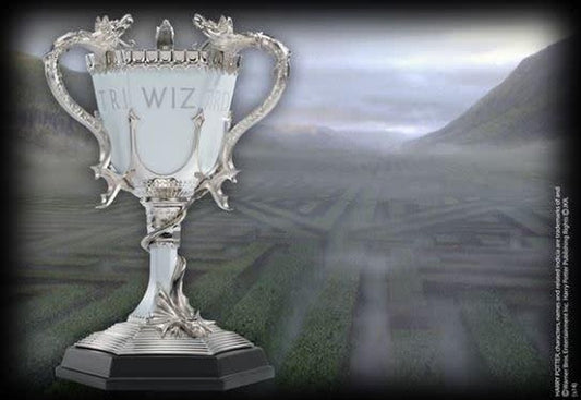  Harry Potter: Triwizard Cup  0812370011407