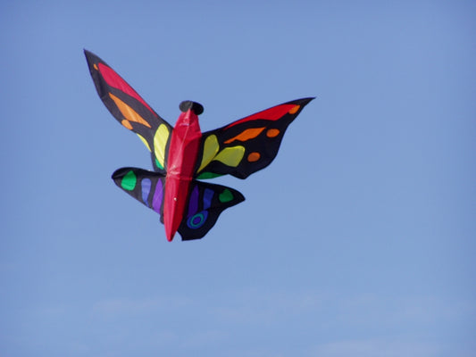 Vlieger Tropical Butterfly - Didak Beach - 104x55 cm 5413858163448