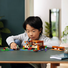 Het Kikkerhuis - Lego Minecraft 5702017583327