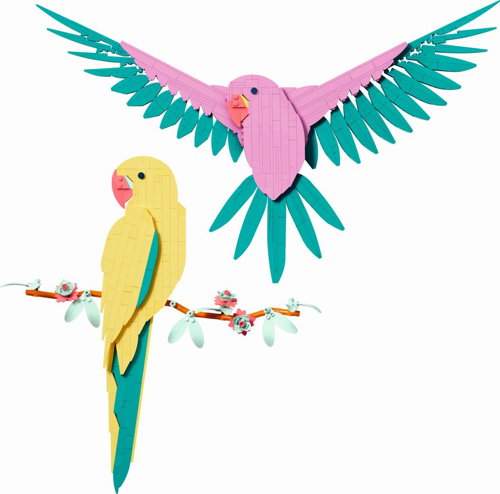 De Faunacollectie: Kleurrijke Papegaaien 5702017584010