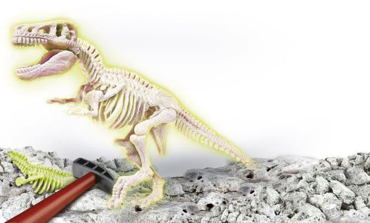 Archéo Ludic T-Rex - Phosphorescent - FR 8005125520688