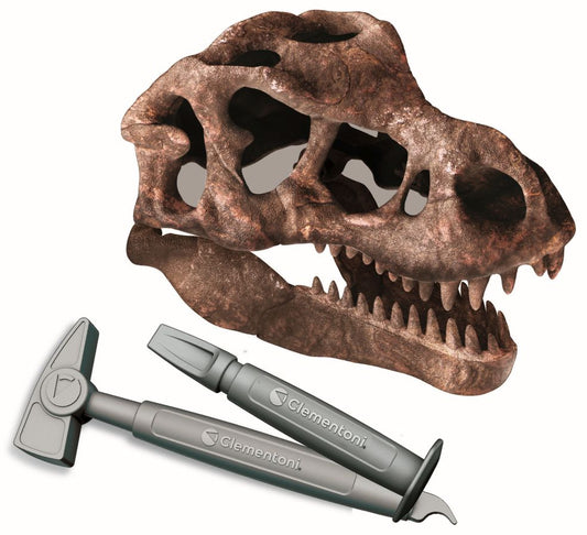Grote T-Rex schedel 8005125561629