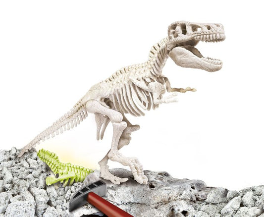 T-Rex fluo - Archeospel - NL 8005125666959