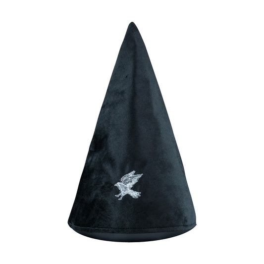  Harry Potter: Ravenclaw Student Hat  4895205601635