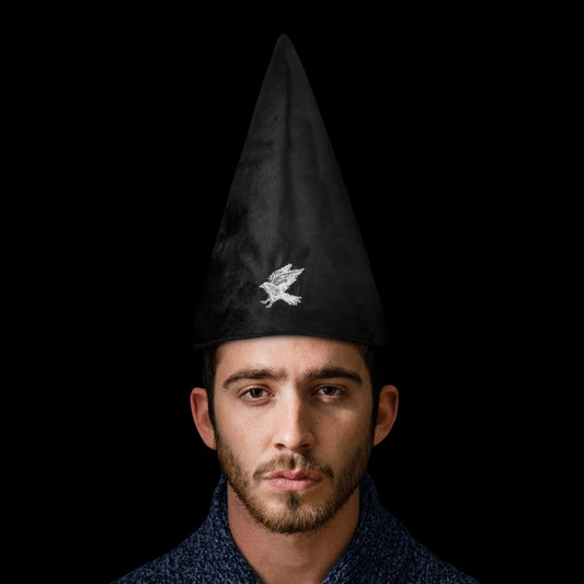  Harry Potter: Ravenclaw Student Hat  4895205601635