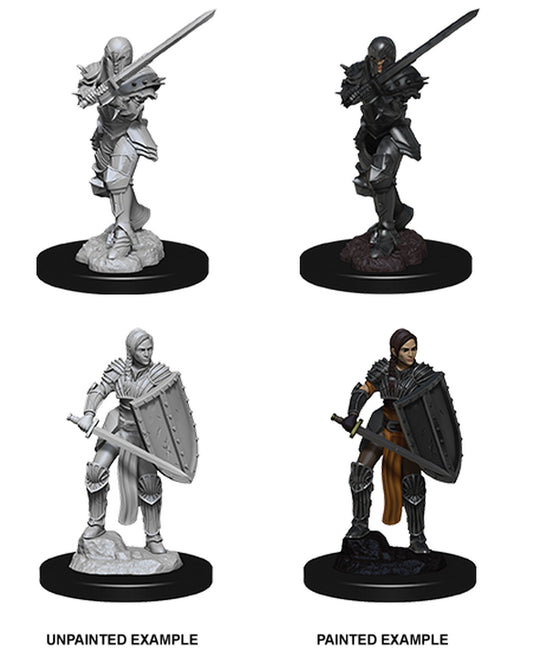  Dungeons and Dragons: Nolzur's Marvelous Miniatures - Female Human Fighter  0634482737057
