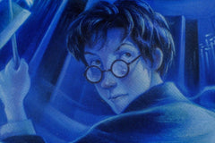 Harry Potter Coasters Book Inspired (Set of 7) 5060914719967