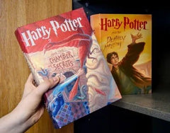 Harry Potter and the Chamber of Secrets Storage Box 5061036145771