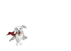Superman (2025) Action Figure Superman & Krypto 21 cm 4711385261455