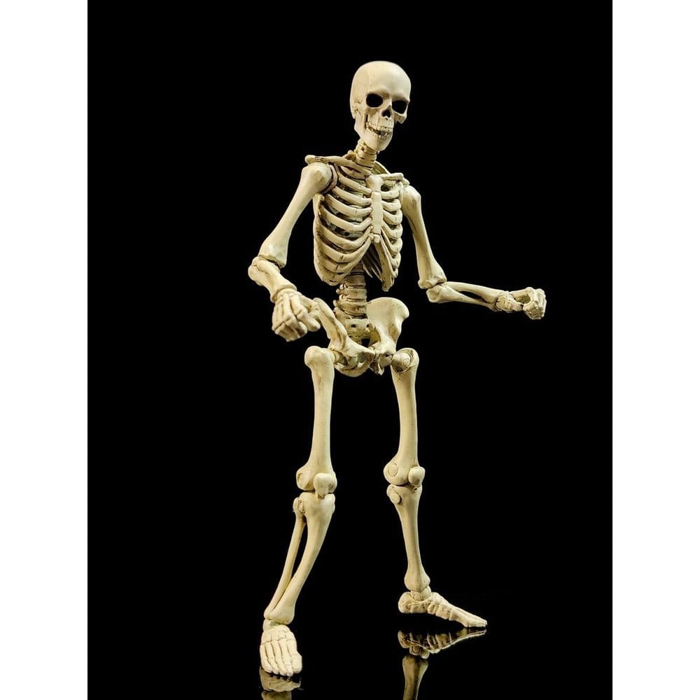 Epic &nbspH.A.C.K.S. Action Figure 1/12 Skeleton Blank Classic Bone 0814800025831