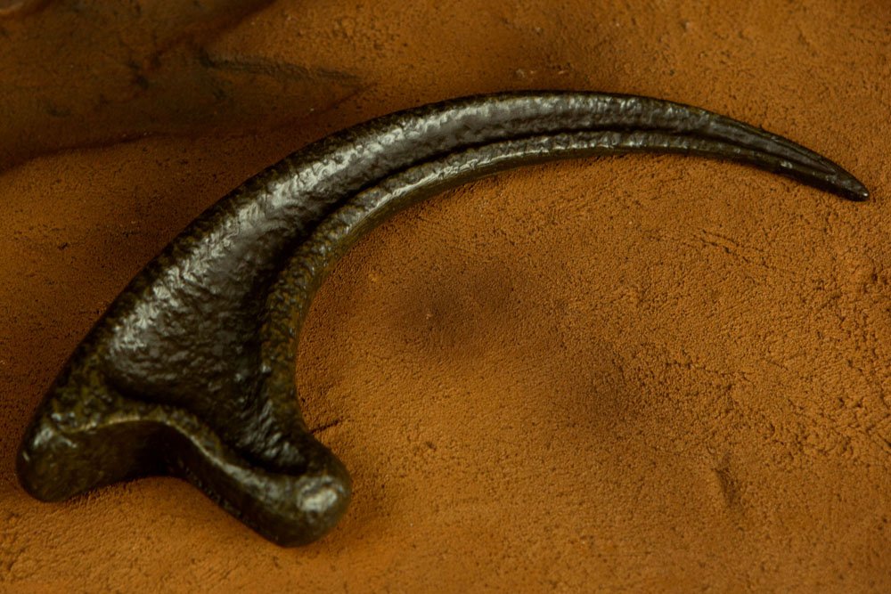 Jurassic Park Replica 1/1 Raptor Claw - Amuzzi