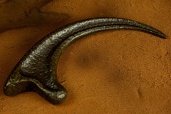 Jurassic Park Replica 1/1 Raptor Claw 8437017951674