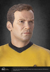 Star Trek Musuem Statue 1/3 Captain James T Kirk 64 cm 22565656