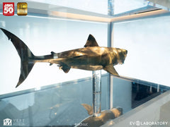 Jaws Maquette 1/18 Jaws Bronze 60 cm  19485845