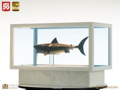 Jaws Maquette 1/18 Jaws Bronze 60 cm  19485845