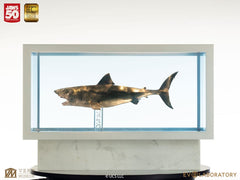 Jaws Maquette 1/18 Jaws Bronze 60 cm  19485845